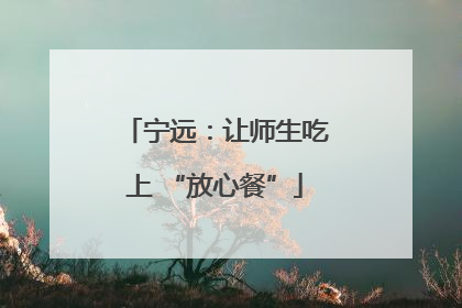 宁远：让师生吃上 “放心餐”