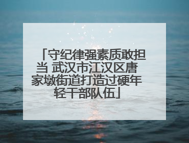 守纪律强素质敢担当 武汉市江汉区唐家墩街道打造过硬年轻干部队伍