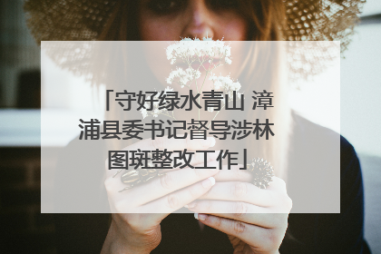 守好绿水青山 漳浦县委书记督导涉林图斑整改工作