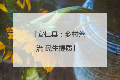 安仁县：乡村善治 民生提质