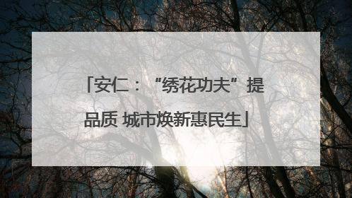 安仁：“绣花功夫”提品质 城市焕新惠民生