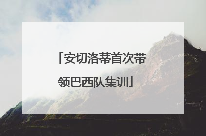 安切洛蒂首次带领巴西队集训