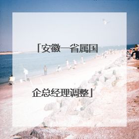 安徽一省属国企总经理调整