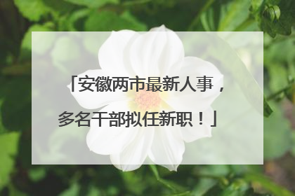 安徽两市最新人事，多名干部拟任新职！