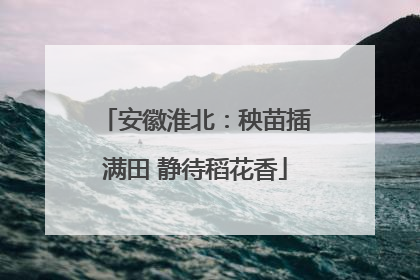 安徽淮北：秧苗插满田 静待稻花香