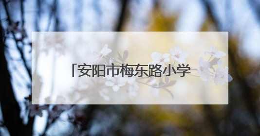 安阳市梅东路小学：开展第三届幼小衔接开放日活动