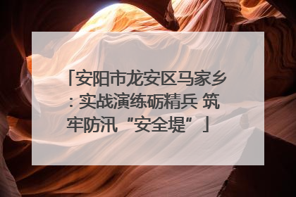 安阳市龙安区马家乡：实战演练砺精兵 筑牢防汛“安全堤”