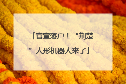 官宣落户！“荆楚”人形机器人来了