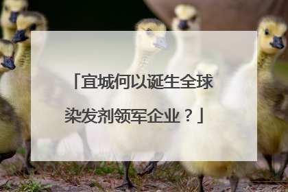 宜城何以诞生全球染发剂领军企业？