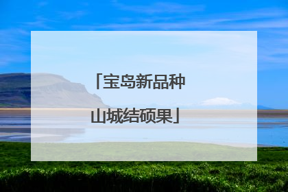 宝岛新品种 山城结硕果