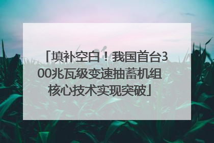 填补空白！我国首台300兆瓦级变速抽蓄机组核心技术实现突破