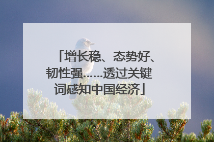 增长稳、态势好、韧性强……透过关键词感知中国经济