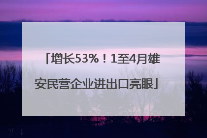 增长53%！1至4月雄安民营企业进出口亮眼