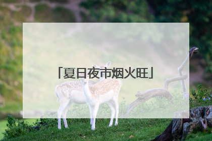 夏日夜市烟火旺