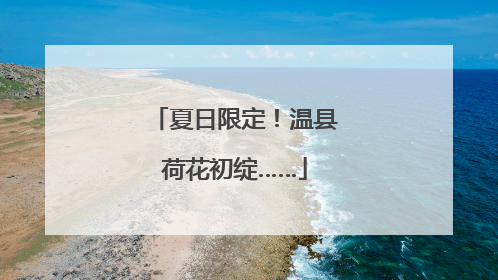 夏日限定！温县荷花初绽……