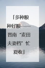 多种粮 种好粮——晋南“麦田夫妻档”忙夏收