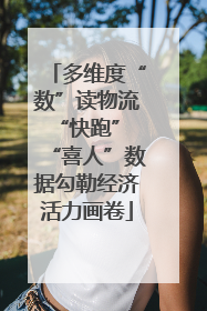 多维度“数”读物流“快跑” “喜人”数据勾勒经济活力画卷