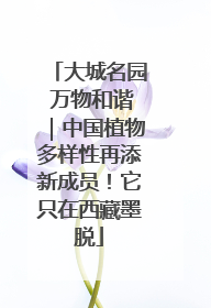 大城名园 万物和谐｜中国植物多样性再添新成员！它只在西藏墨脱