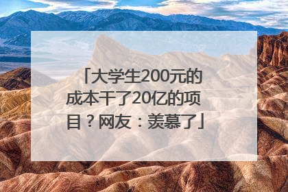 大学生200元的成本干了20亿的项目？网友：羡慕了