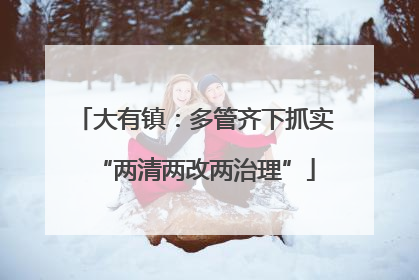 大有镇：多管齐下抓实“两清两改两治理”