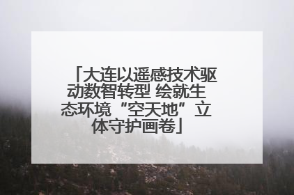 大连以遥感技术驱动数智转型 绘就生态环境“空天地”立体守护画卷