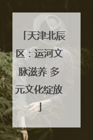 天津北辰区：运河文脉滋养 多元文化绽放