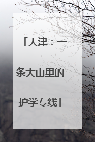 天津：一条大山里的护学专线