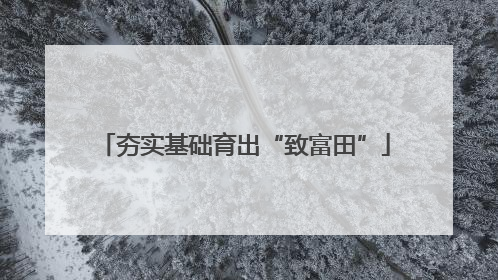夯实基础育出“致富田”
