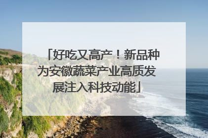 好吃又高产！新品种为安徽蔬菜产业高质发展注入科技动能