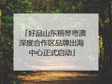好品山东横琴粤澳深度合作区品牌出海中心正式启动