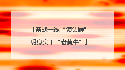 奋战一线“领头雁” 躬身实干“老黄牛”