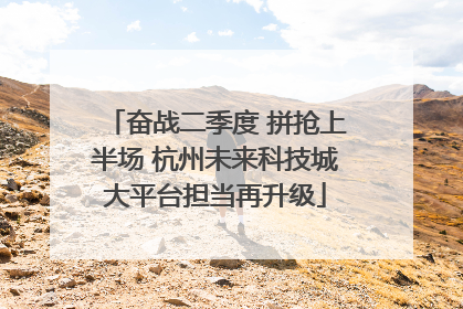 奋战二季度 拼抢上半场 杭州未来科技城大平台担当再升级