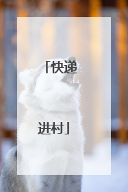 快递进村