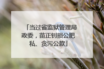 当过省监狱管理局政委，苗正钊损公肥私、贪污公款