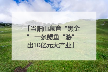 当阳山泉育“黑金” 一条鲟鱼“游”出10亿元大产业