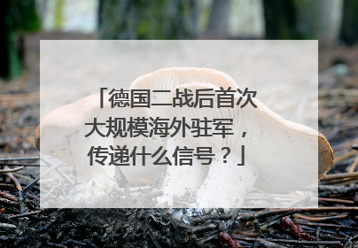 德国二战后首次大规模海外驻军，传递什么信号？