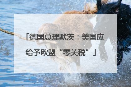 德国总理默茨：美国应给予欧盟“零关税”