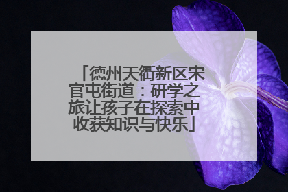 德州天衢新区宋官屯街道：研学之旅让孩子在探索中收获知识与快乐