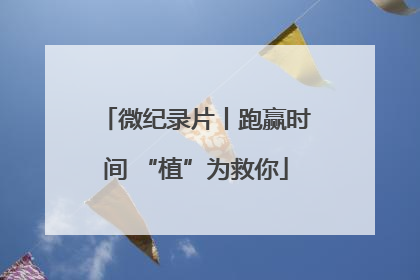 微纪录片丨跑赢时间 “植”为救你