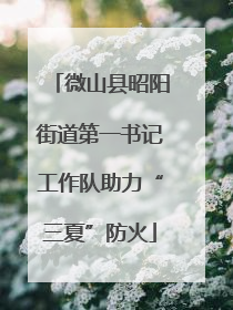 微山县昭阳街道第一书记工作队助力“三夏”防火
