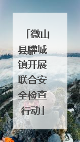 微山县驩城镇开展联合安全检查行动