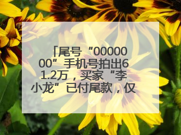 尾号“0000000”手机号拍出61.2万，买家“李小龙”已付尾款，仅享有使用权