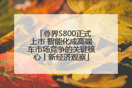尊界S800正式上市 智能化成高端车市场竞争的关键核心丨新经济观察