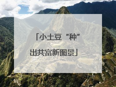 小土豆“种”出共富新图景