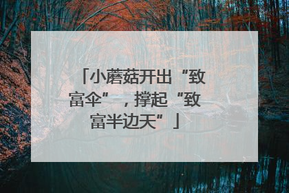 小蘑菇开出“致富伞”，撑起“致富半边天”