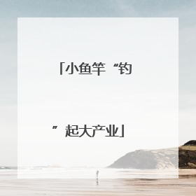 小鱼竿“钓”起大产业