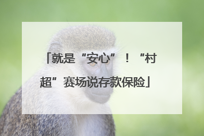 就是“安心”！“村超”赛场说存款保险