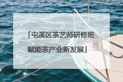 屯溪区茶艺师研修班赋能茶产业新发展