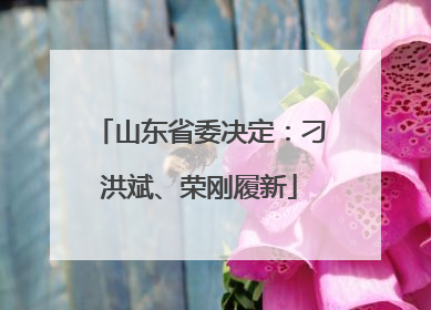 山东省委决定：刁洪斌、荣刚履新