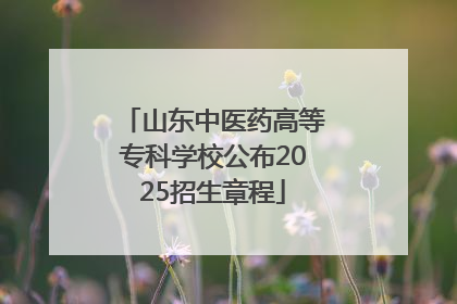 山东中医药高等专科学校公布2025招生章程